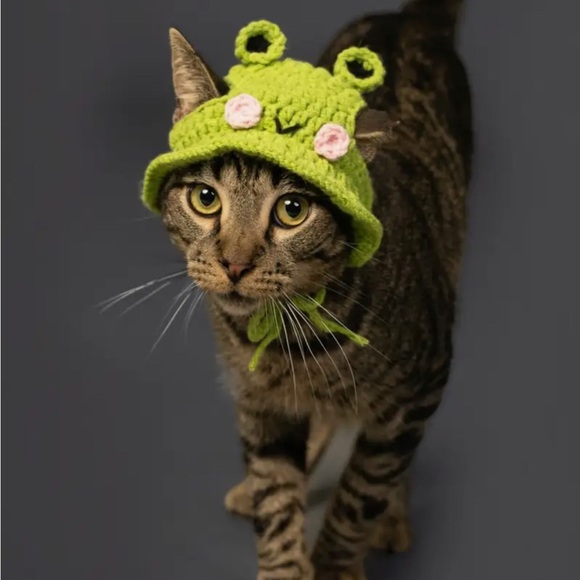 Crochet Green Frog Hat for Small Pets, Cat or Dog - Picture 9 of 16